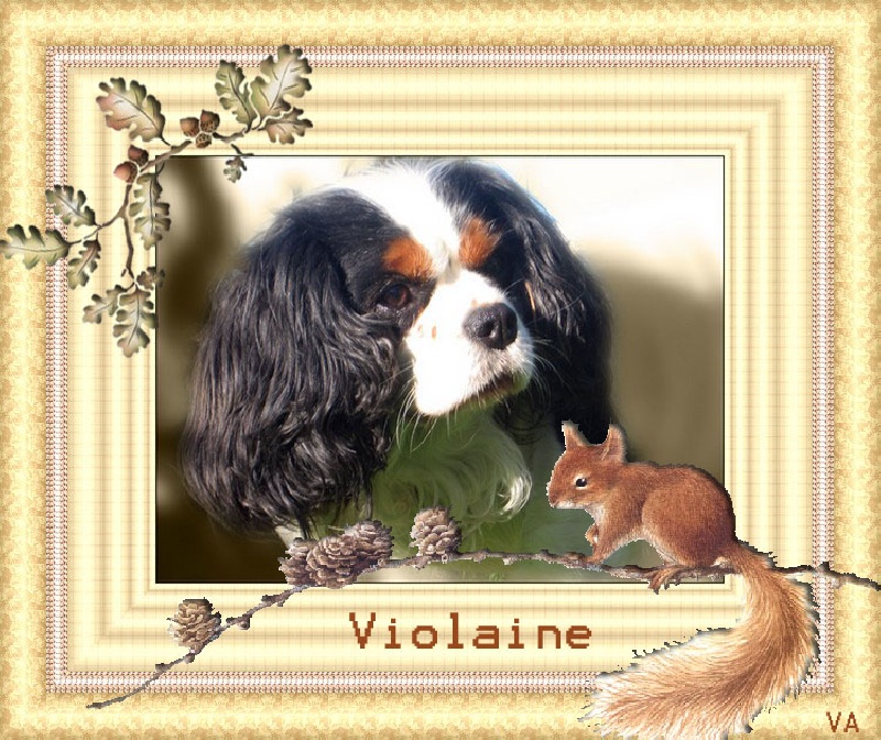 Violaine de la noble cavalière
