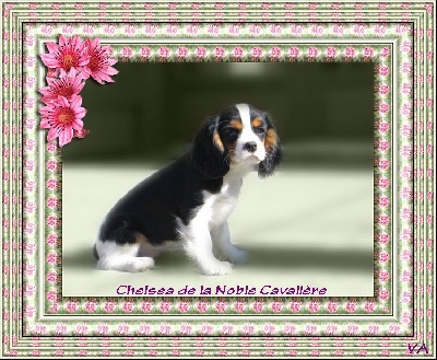 de la noble cavalière - MES CREATIONS SONT PERSONNELLES