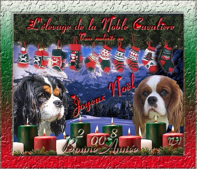 CARTES DE VOEUX 2008