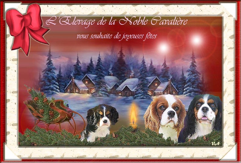 CARTES DE VOEUX 2008.2009